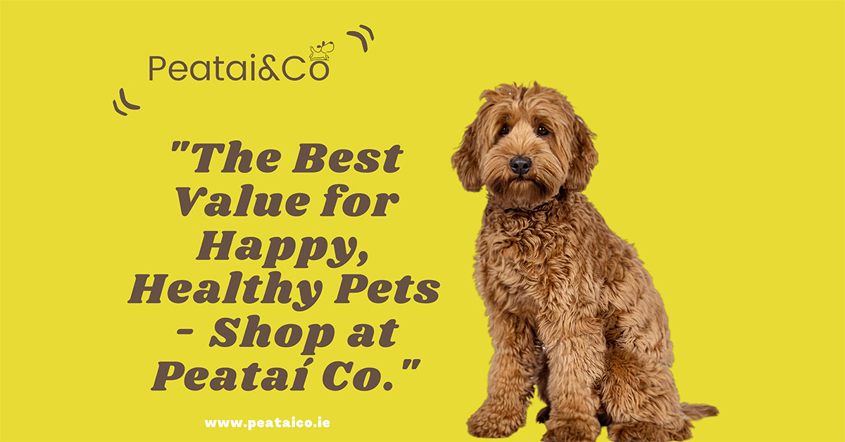Catit Go Natural Pea Husk Clumping Cat Litter - Lavender