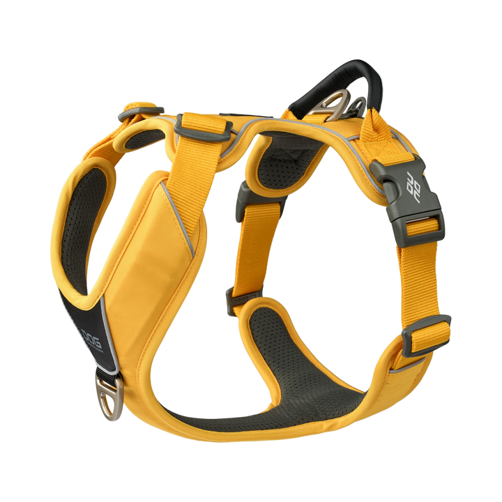 Yellow dog harness with black padding on a white background