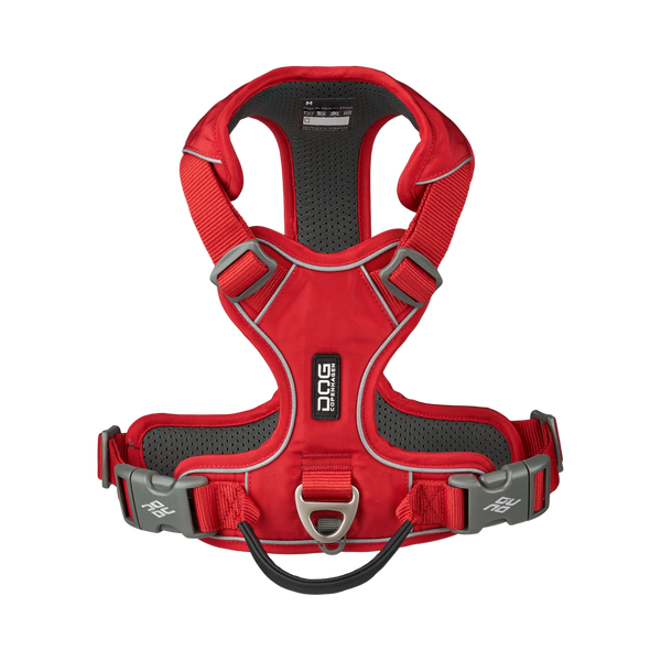 Shop the Dog Copenhagen Comfort Walk Pro™ Harness for the ultimate in comfort and safety. A premium no-pull dog harness with lightweight, durable materials, reflective details, and adjustable fit. Perfect for daily walks and outdoor adventures.
