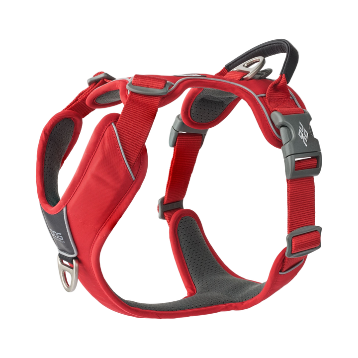 Shop the Dog Copenhagen Comfort Walk Pro™ Harness for the ultimate in comfort and safety. A premium no-pull dog harness with lightweight, durable materials, reflective details, and adjustable fit. Perfect for daily walks and outdoor adventures.
