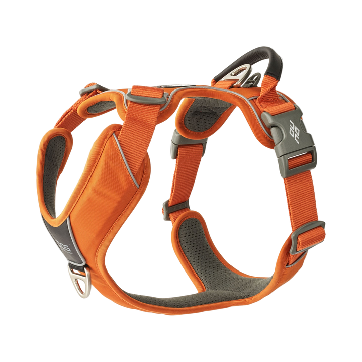 Orange and gray dog harness on a white background