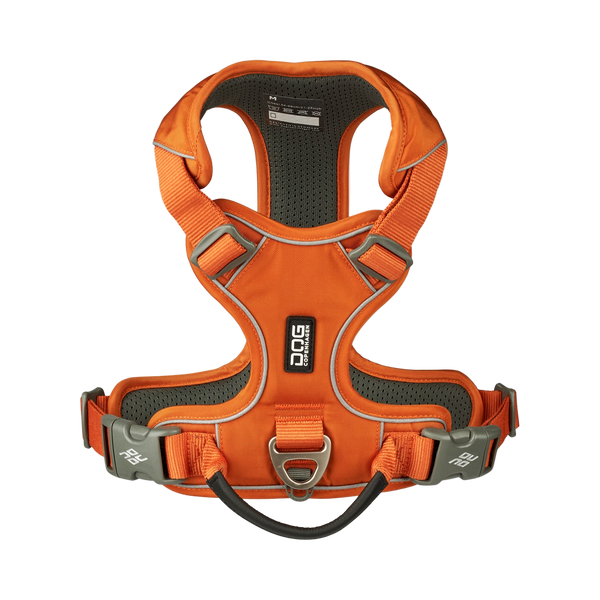 Orange dog harness with gray straps on a white background