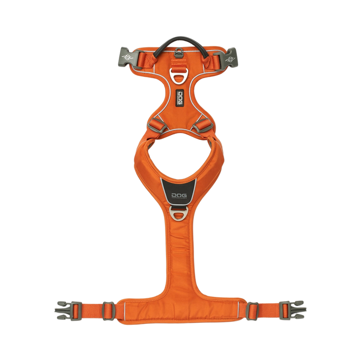 Orange dog harness on a white background