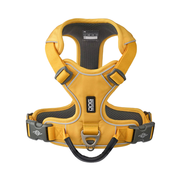 Yellow dog harness with black accents on a white background