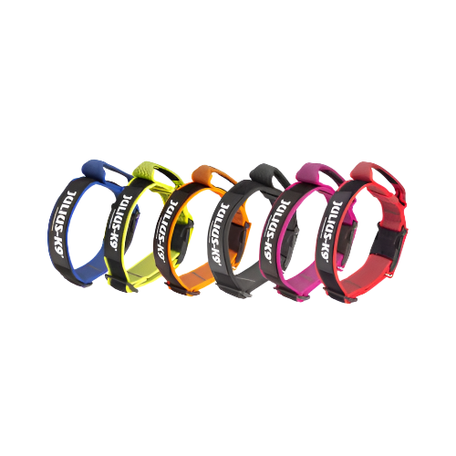 Julius K9 IDC®Color&Gray® collar with handle